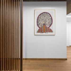Peacock-in-the-wild-Wall-Art